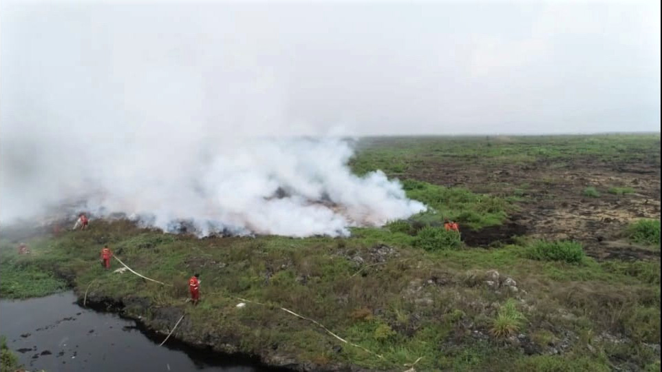 Foto udara kondisi Karhutla gambut di Kecamatan Lalolae, Kabupaten Kolaka Timur, Sulawesi Tenggara.