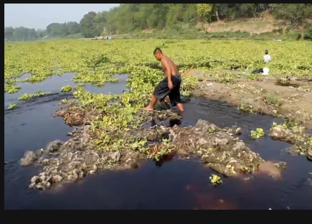 Pencemaran menyebabkan air Bengawan Solo menghitam, berbau dan gatal di kulit. Banyak ikan mati dan PDAM menghentikan operasional.