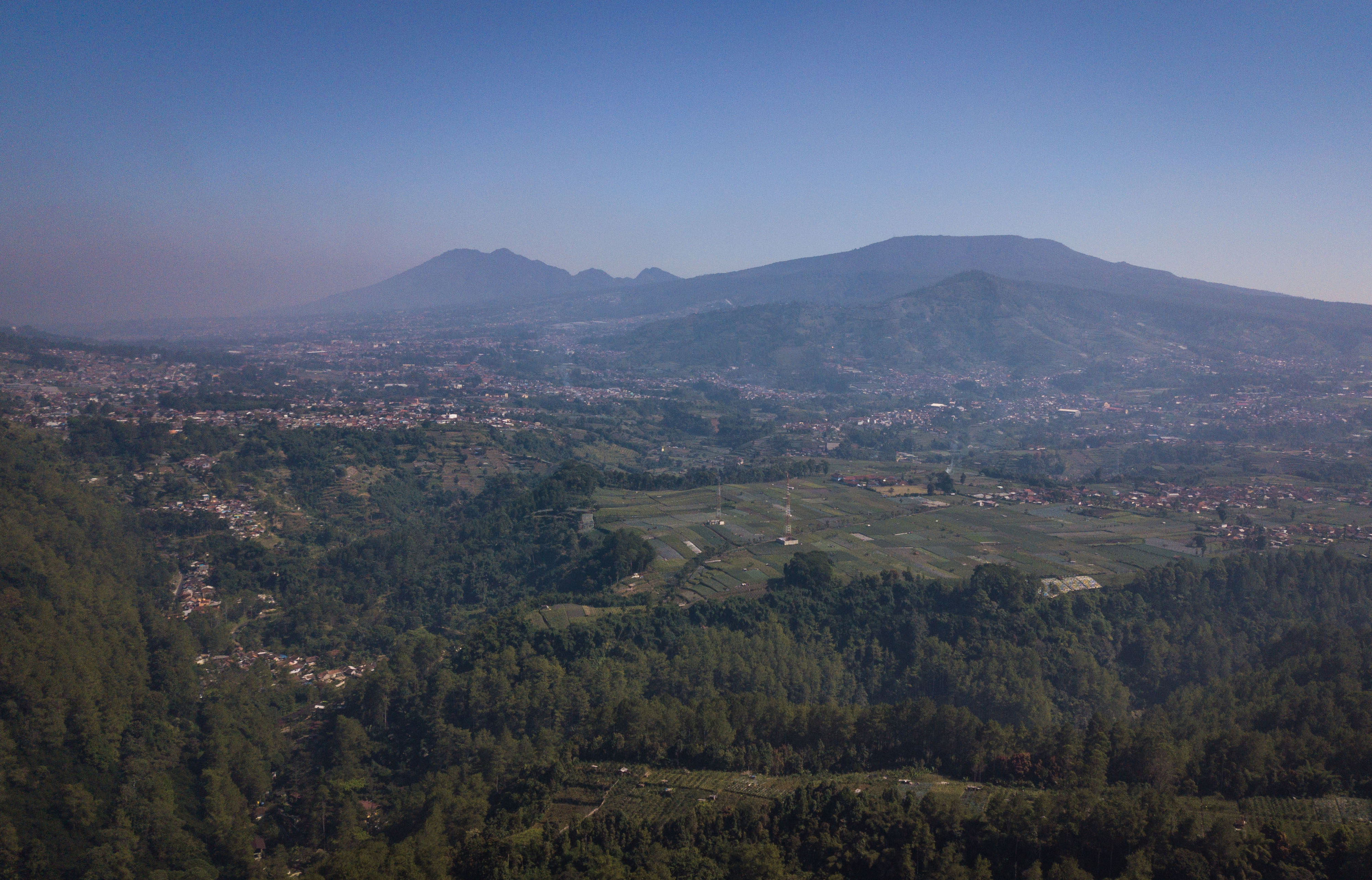 Ilustrasi Kawasan Hutan Lindung