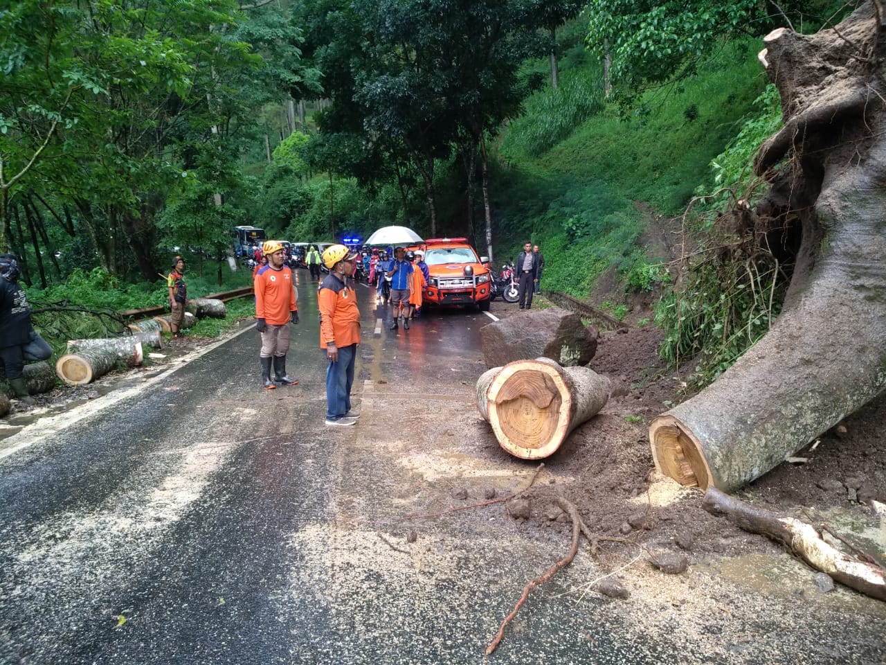 Petugas BPBD Kota Batu, Jawa Timur, mengevakuasi material tanah longsor dan pohon tumbang. Kawasan wisata tersebut rawan longsor.  