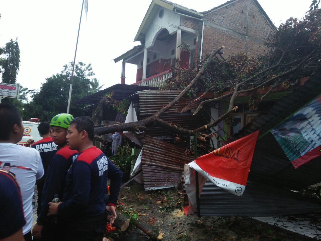 Sejumlah pohon tumbang diterjang anging kencang di Magelang.