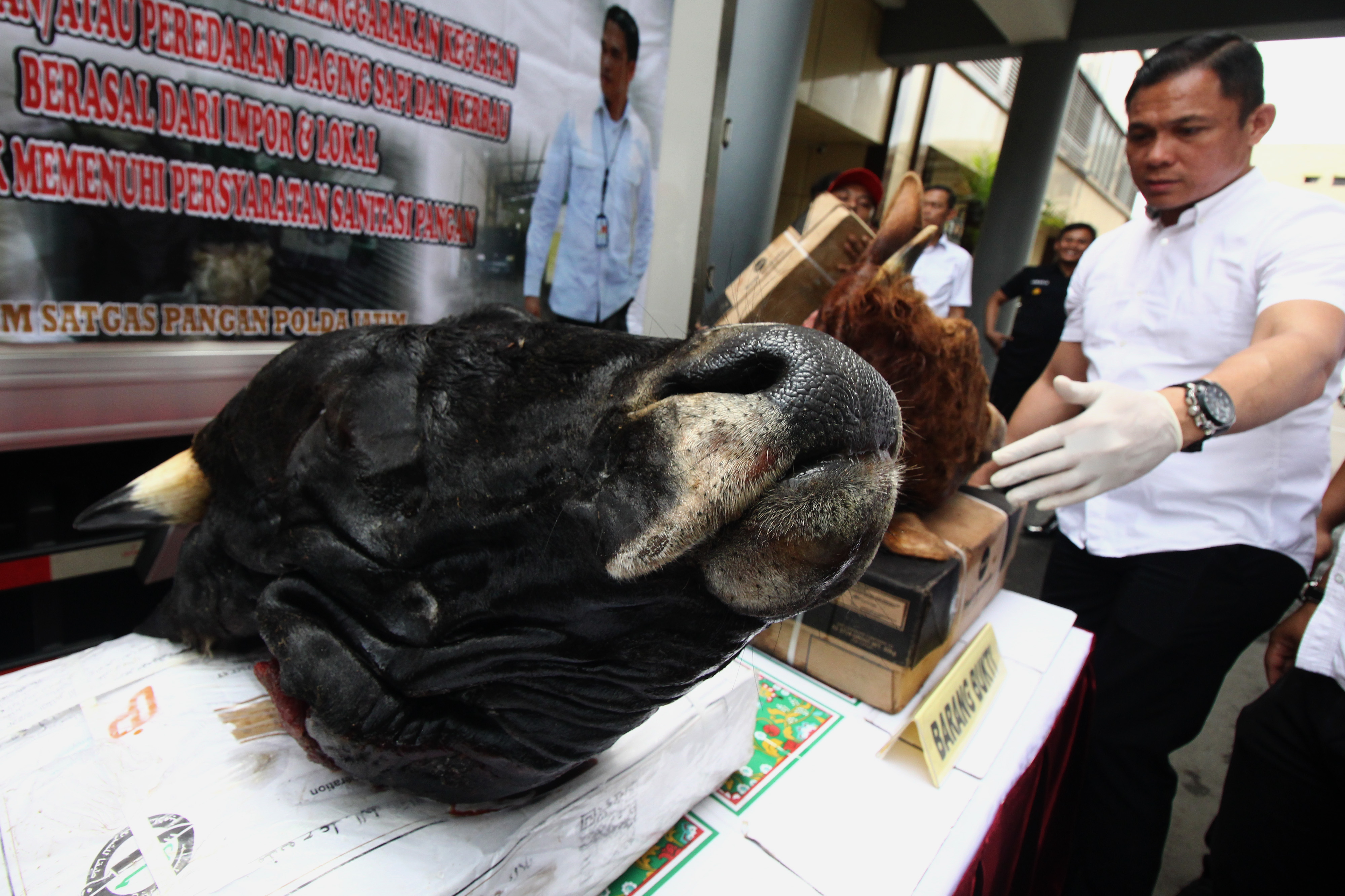 Daging kerbau ilegal