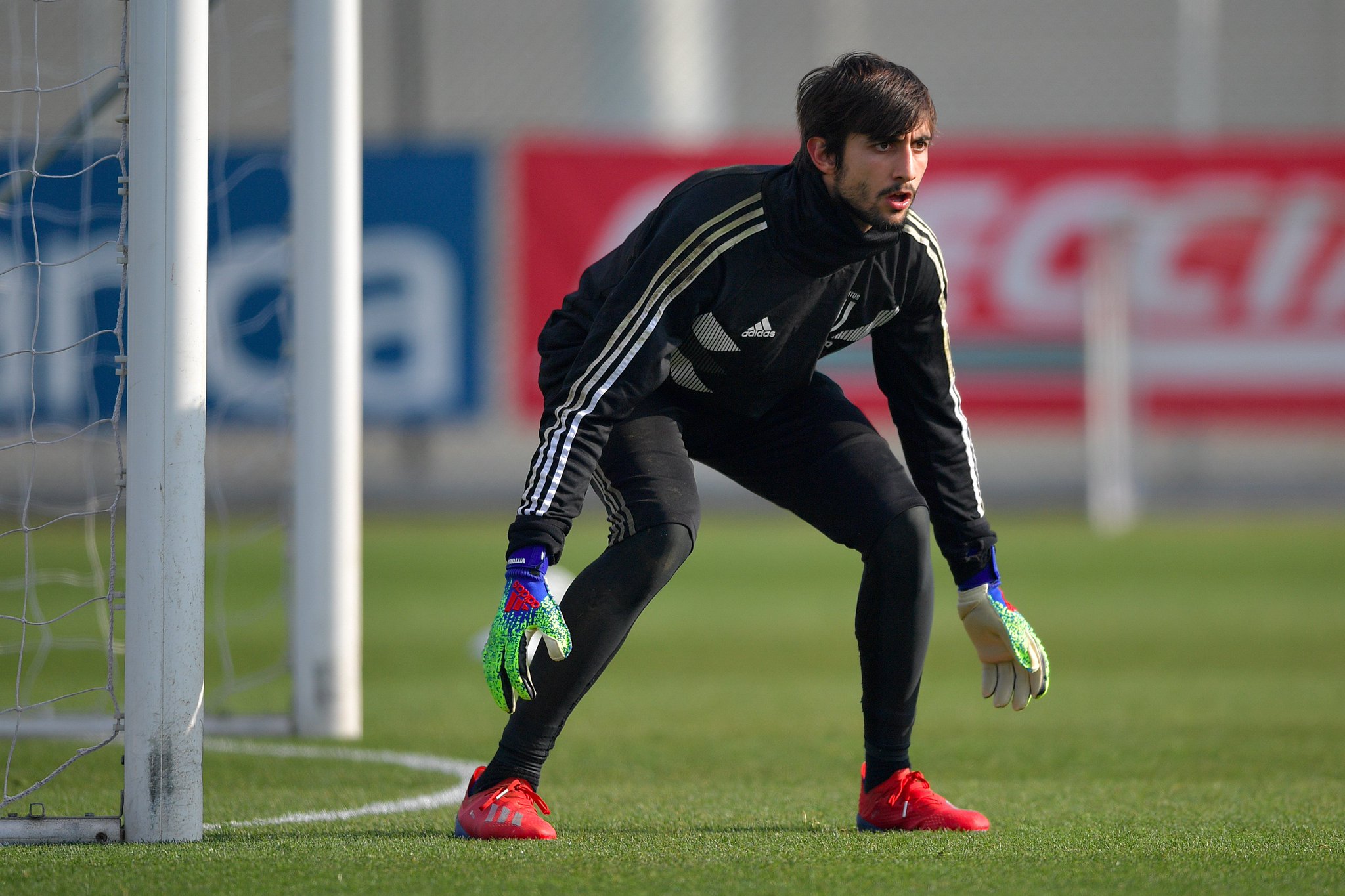 Mattia Perin