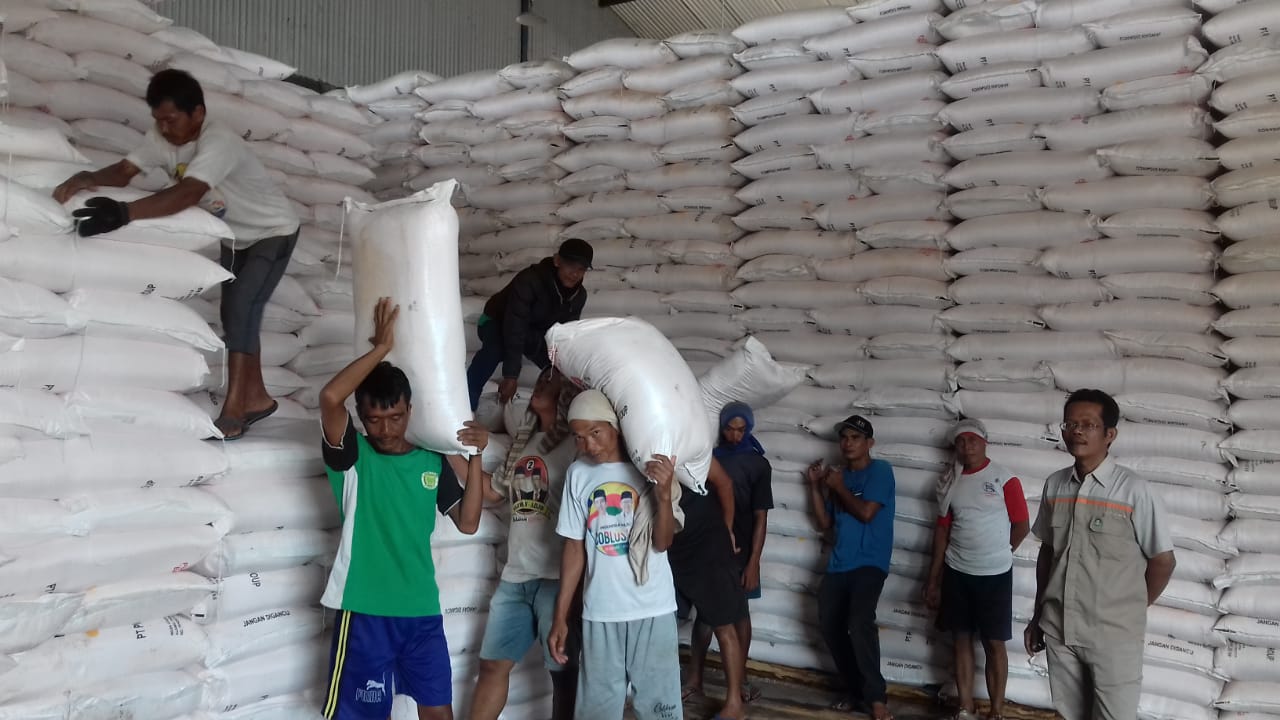 Sejumlah kuli panggul mengangkat pupuk bersubsidi di Gudang Lini III Pupuk Kujang.