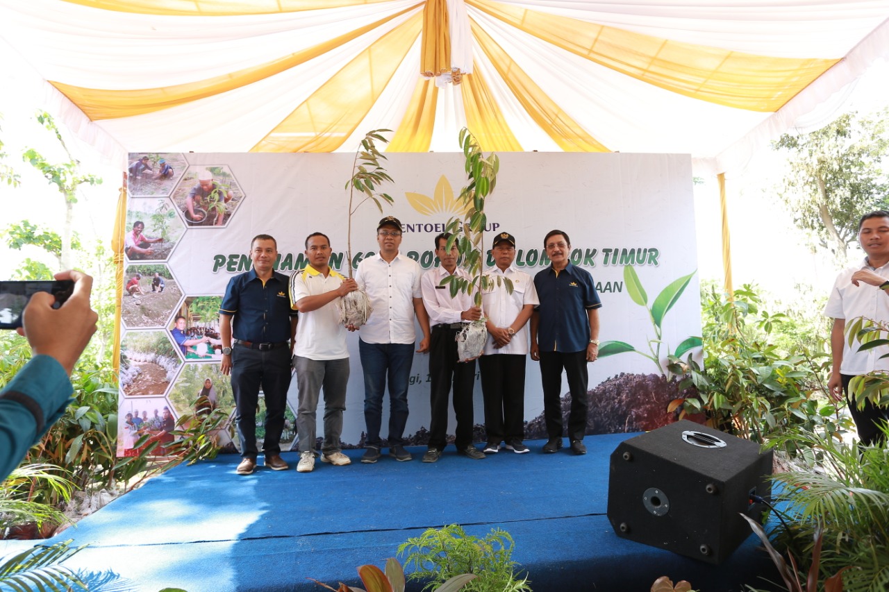  Kegiatan aforestasi dengan penanaman 6.035 pohon di Kabupaten Lombok Timur, Nusa Tenggara Barat (NTB), Kamis (16/1). 