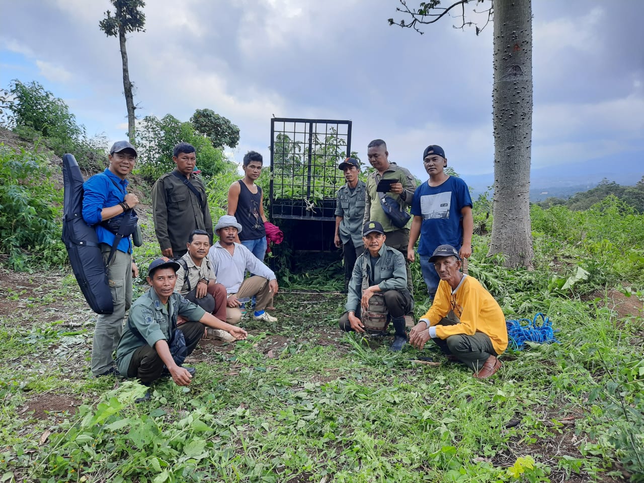 Seorang Petani Muara Enim Diserang Harimau