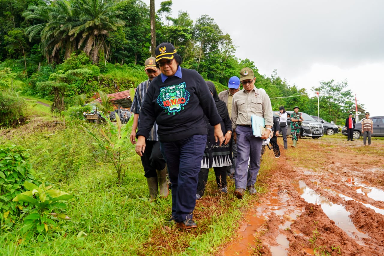 Menteri LHK Siti Nurbaya, usai meninjau kebun bibit di Desa Gunung Kencana, Kabupaten Lebak, Banten, Sabtu petang (11/1).