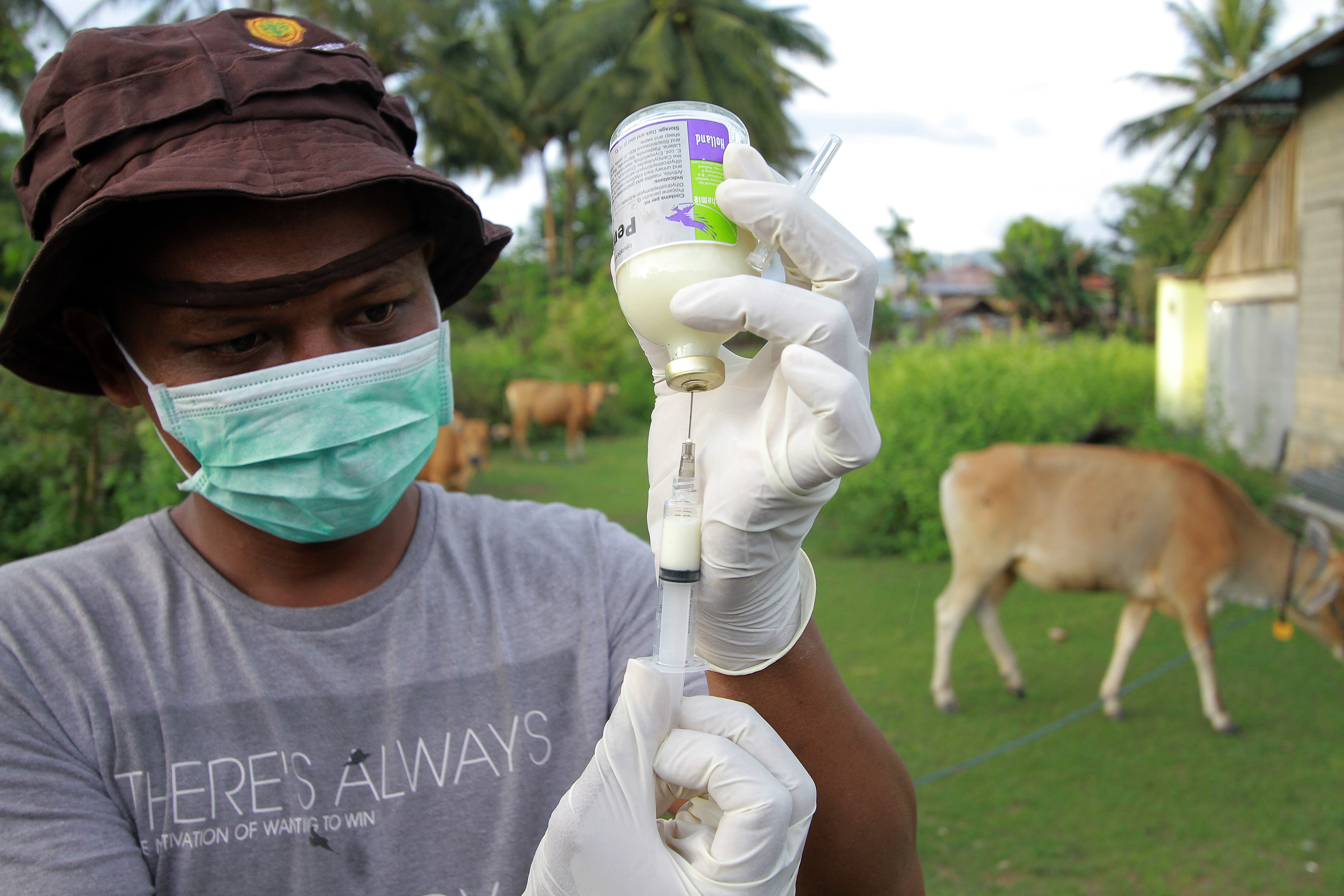 PENYUNTIKAN CEGAH ANTRAKS