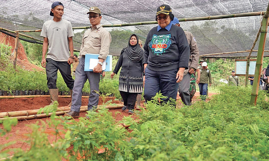 Menteri KLHK Siti Nurbaya Bakar (tengah) meninjau kebun bibit di Desa Gunung Kencana, Kabupaten Lebak, Banten.