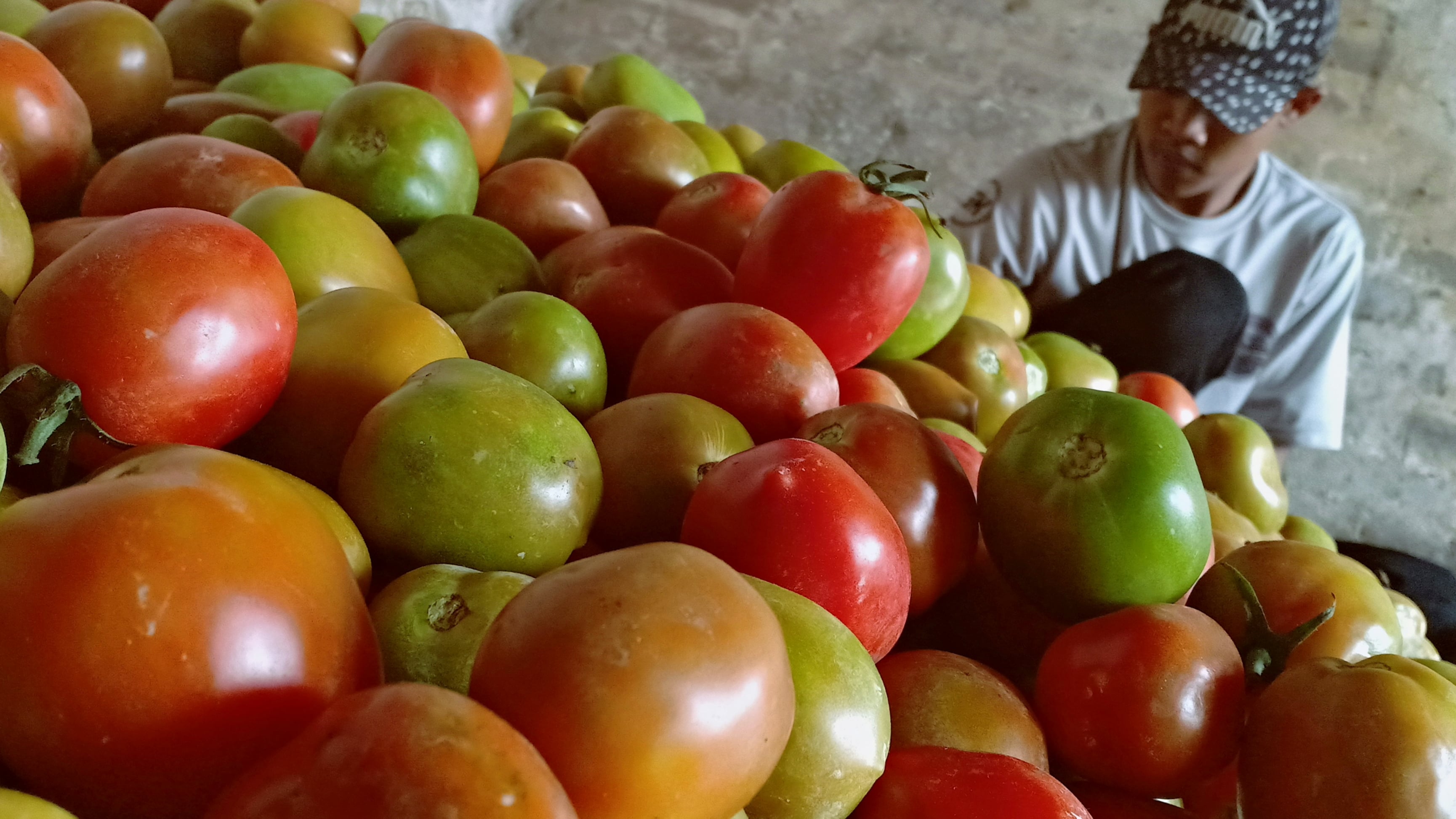 Banjir Jabodetabek Hambat Masuknya Sayuran Dari Lembang 