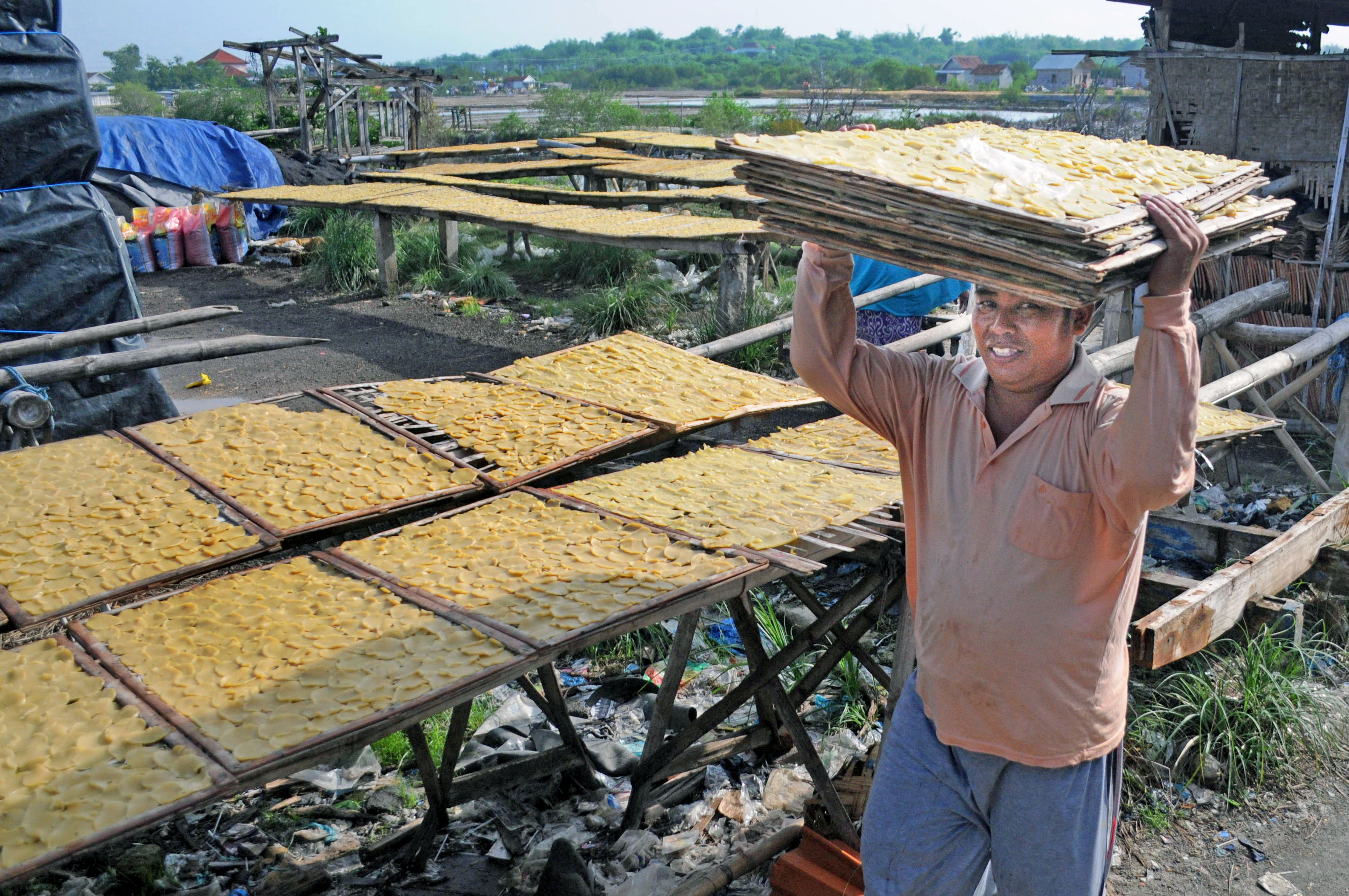Tempe salah satu produk fermentasi kedelai