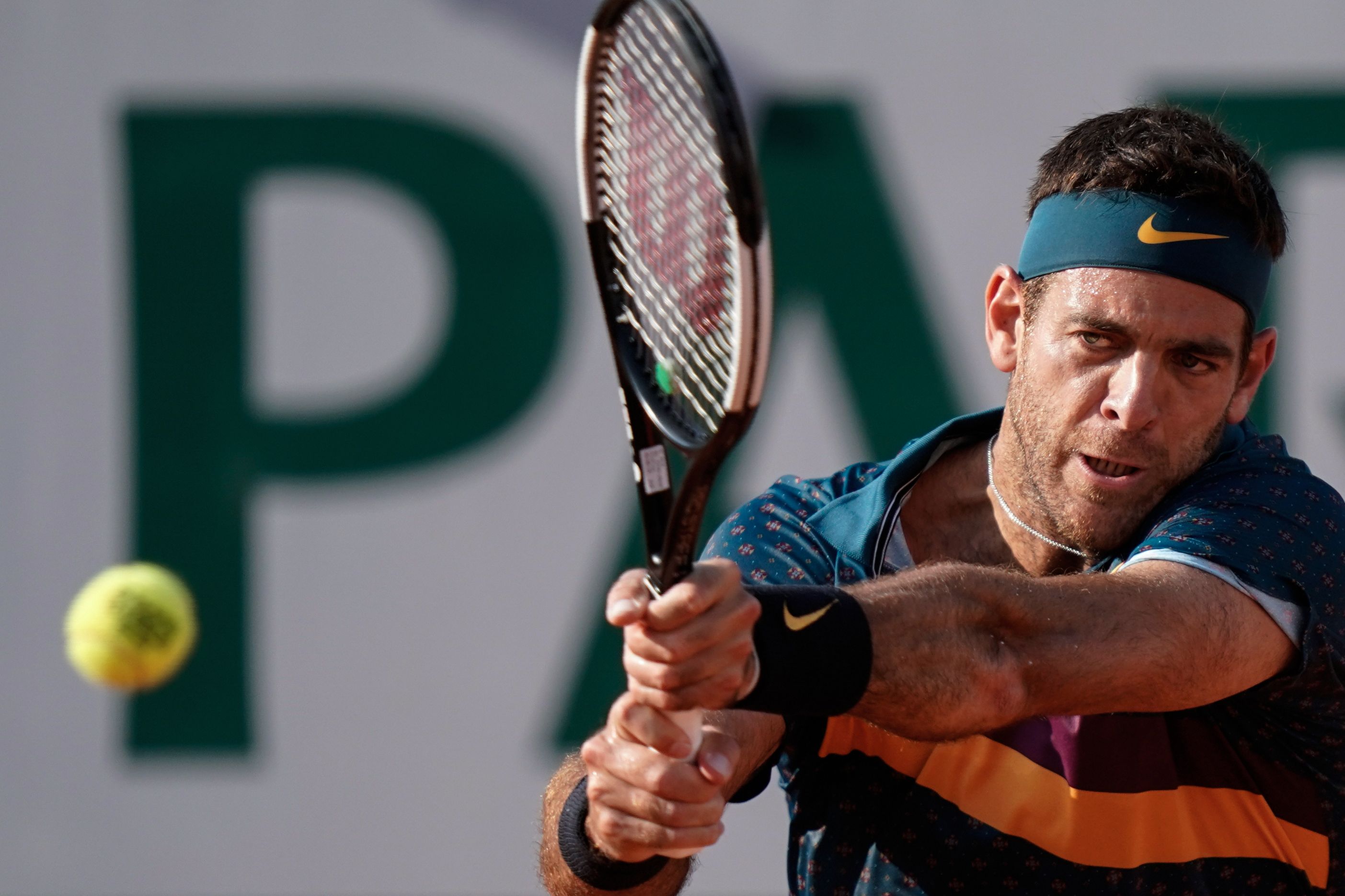 Juan Martin del Potro