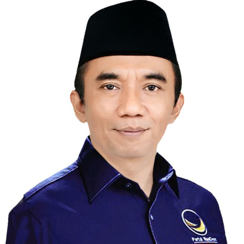 Anggota Komisi II DPR Fraksi NasDem Syamsl Luthfi