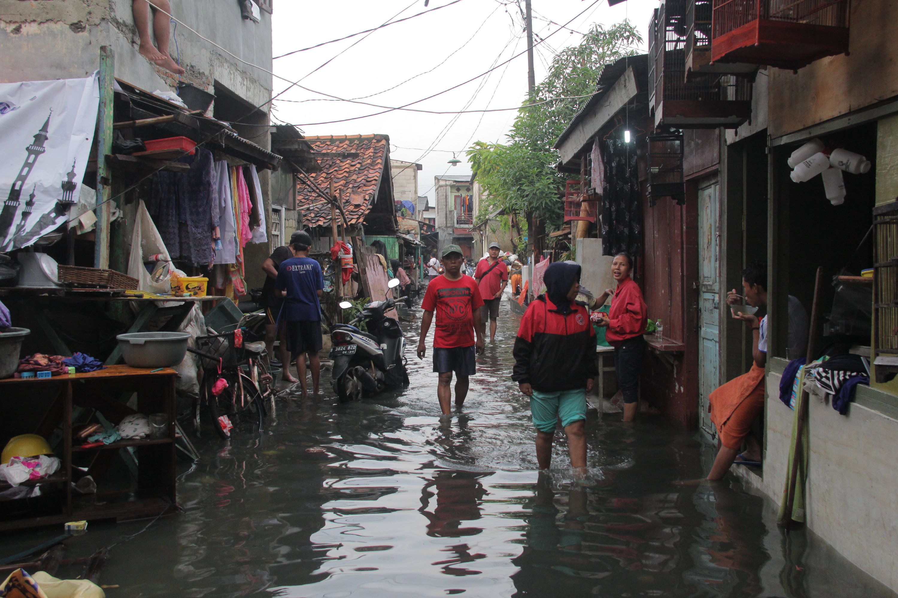 Perlu Langkah Radikal dari Hulu dan Hilir Tangani Banjir Jakarta