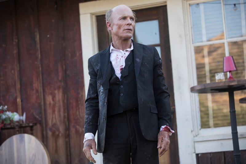 Adegan dalam serial Westworld