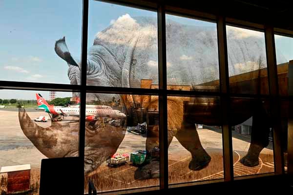 Kenya Airways di Bandara Jommo Kenyatta International Nairobi
