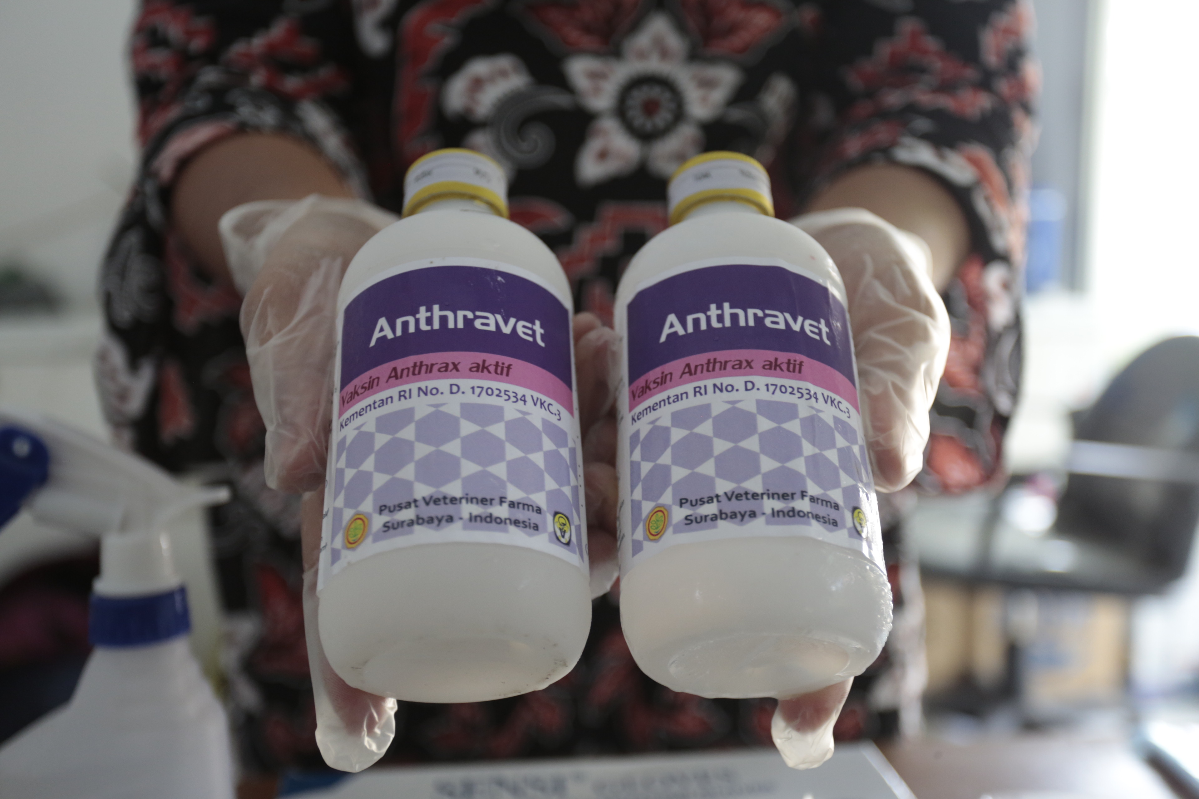 Petugas menyiapkan vaksin antraks di kantor Dinas Pertanian dan Pangan Kabupaten Gunungkidul, Jumat (17/1/2020)