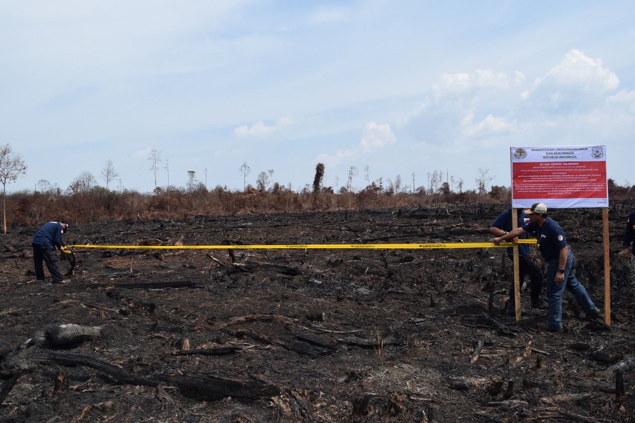 Ditjen Gakkum KLHK melakukan penyegelan di lahan perusahaan yang terjadi kasus karhutla