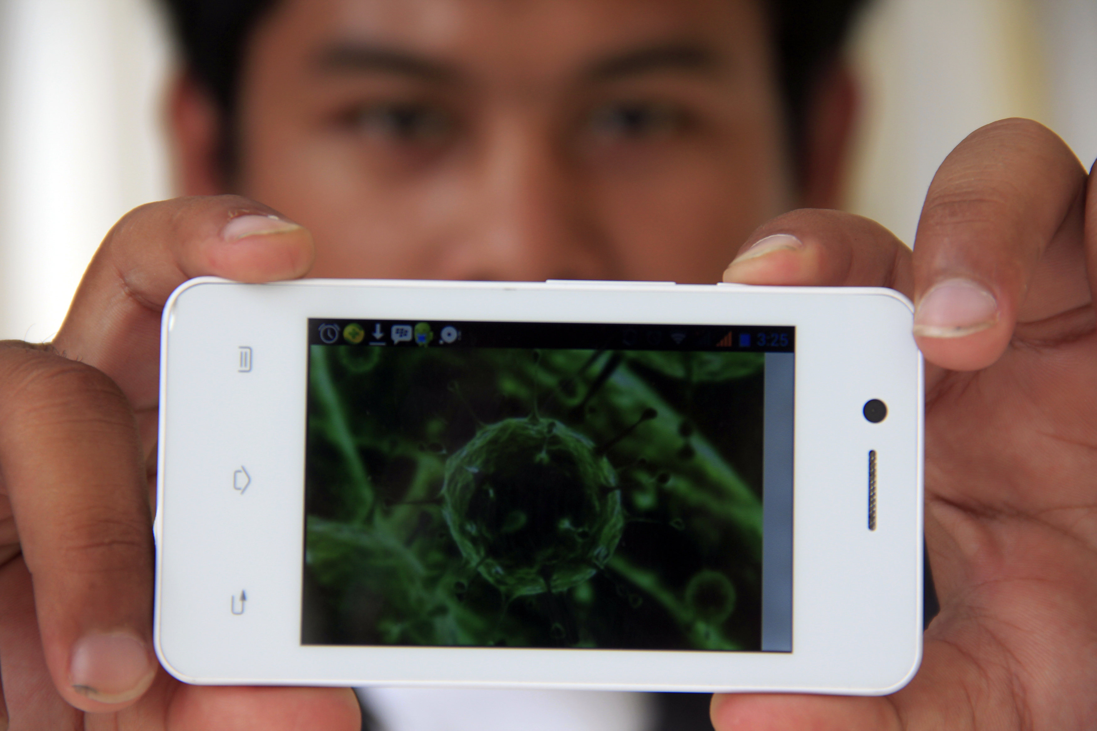 Ilustrasi visrus Korona