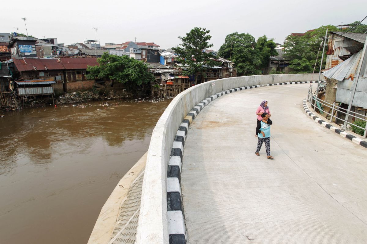 TGUPP DKI Buka Alasan Tolak Normalisasi Ciliwung di Kampung Pulo