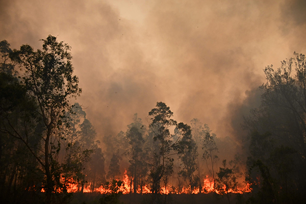 Kebakaran hutan di Australia