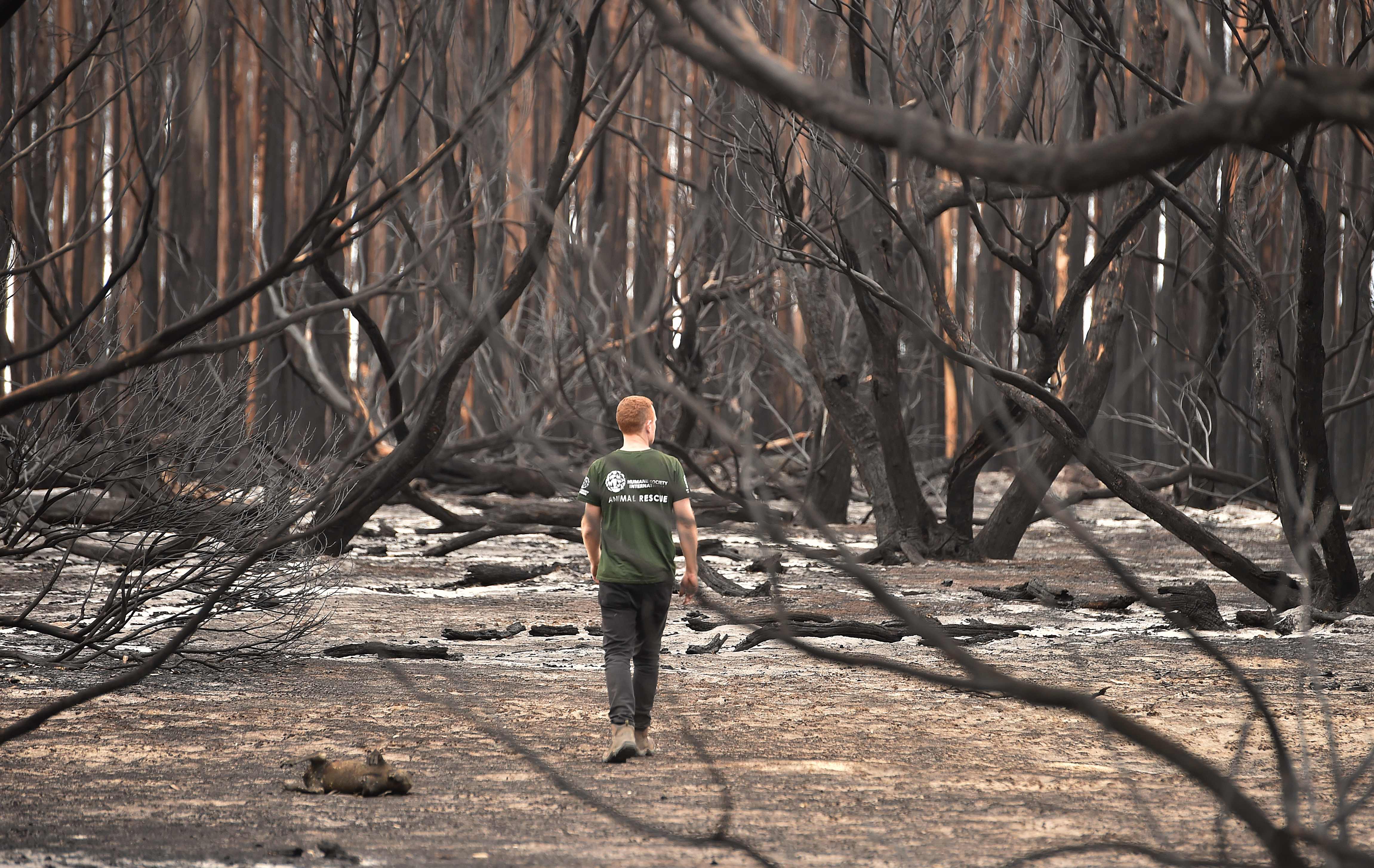 Kebakaran hutan dan lahan di wilayah selatan Canberra semakin meluas.