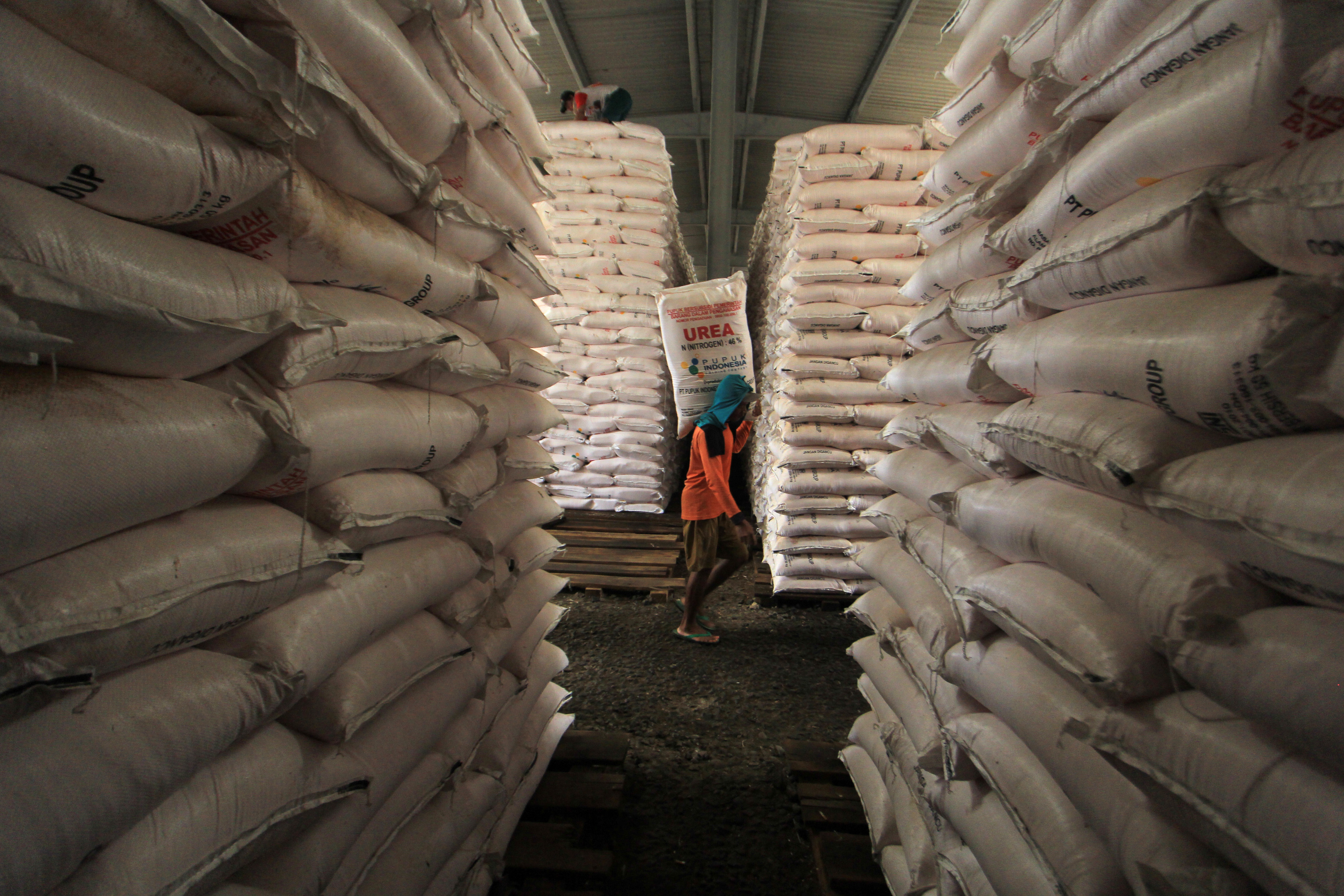 Stok pupuk musim tanam tahun ini sudah mencukupi