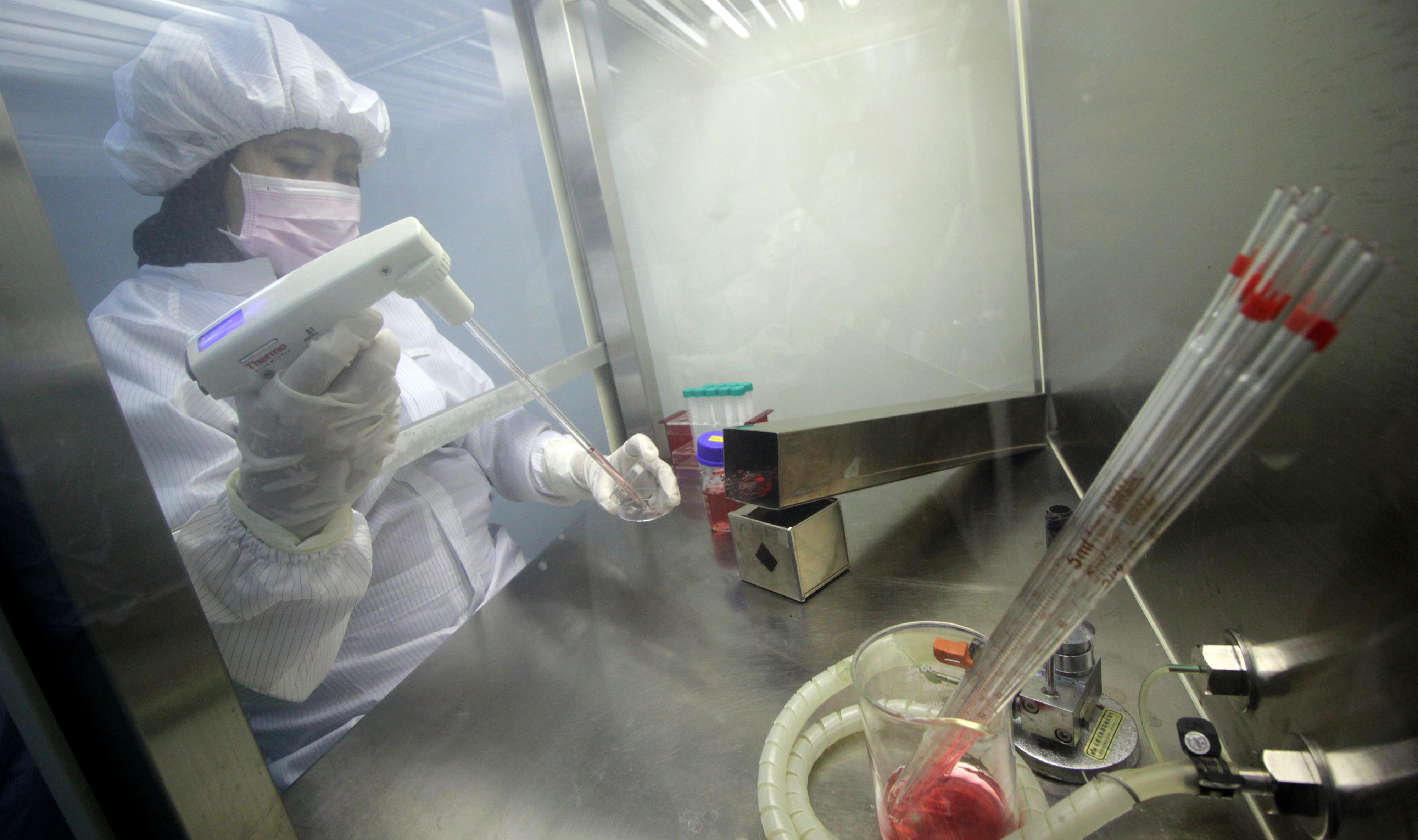 Peneliti melakukan proses kultur atau ekspansi sel 