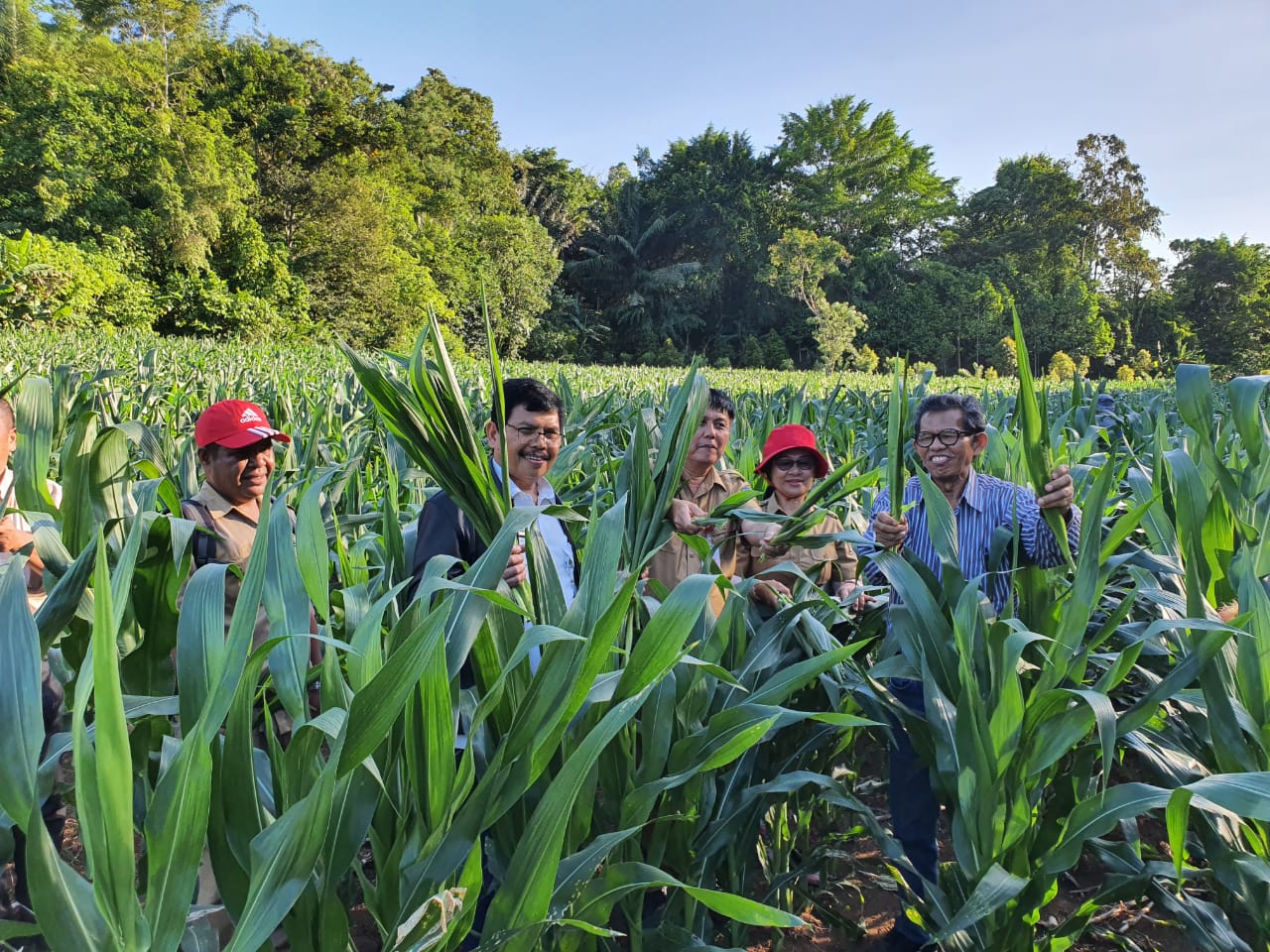 Perguruan Tinggi Dukung Pilot Project Perbenihan Jagung Hibrida