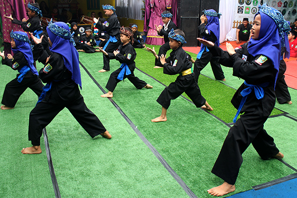 Pencak Silat