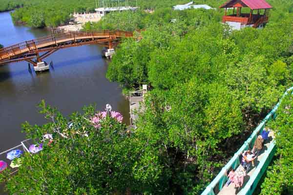 Sejumlah wisatawan berada di kawasan wisata hutan mangrove Kuala Langsa di pesisir Kota Langsa, Aceh.