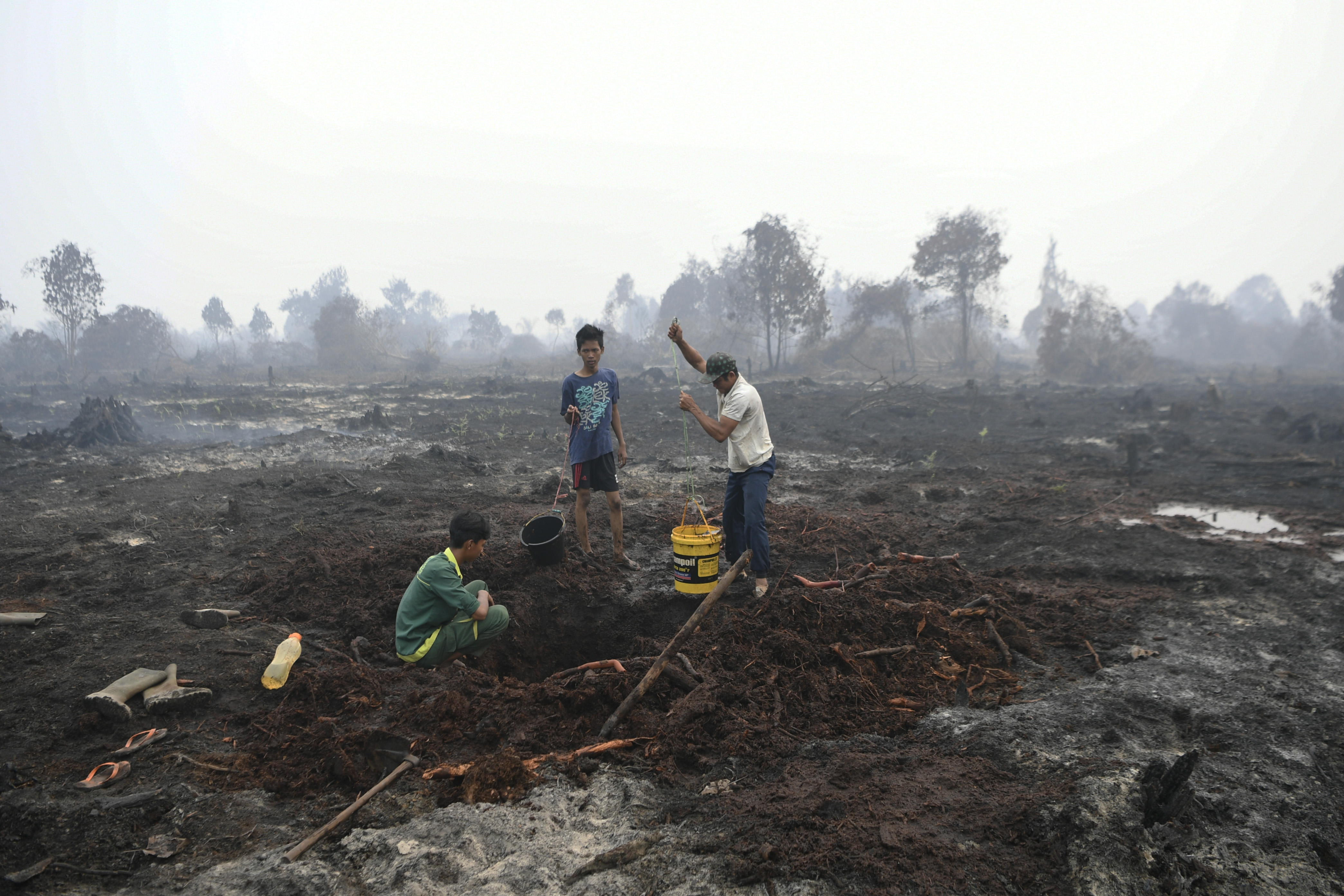 Kebakaran hutan di Riau meluas