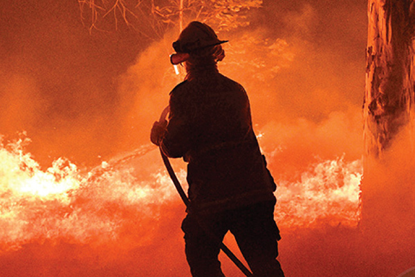 Kebakaran Hutan di Australia