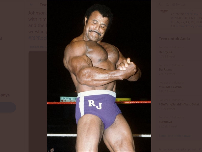 Ayahanda Dwayne Johnson, Rocky Johnson