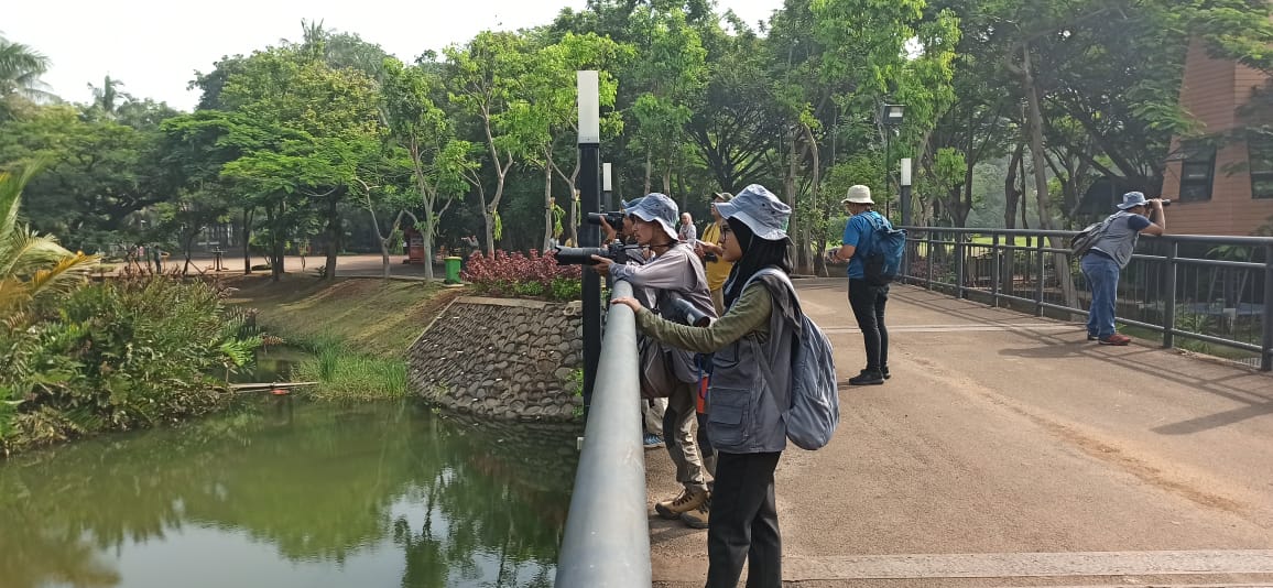 Pejuang Keanekaragaman Hayati Sensus Burung Air di Ancol