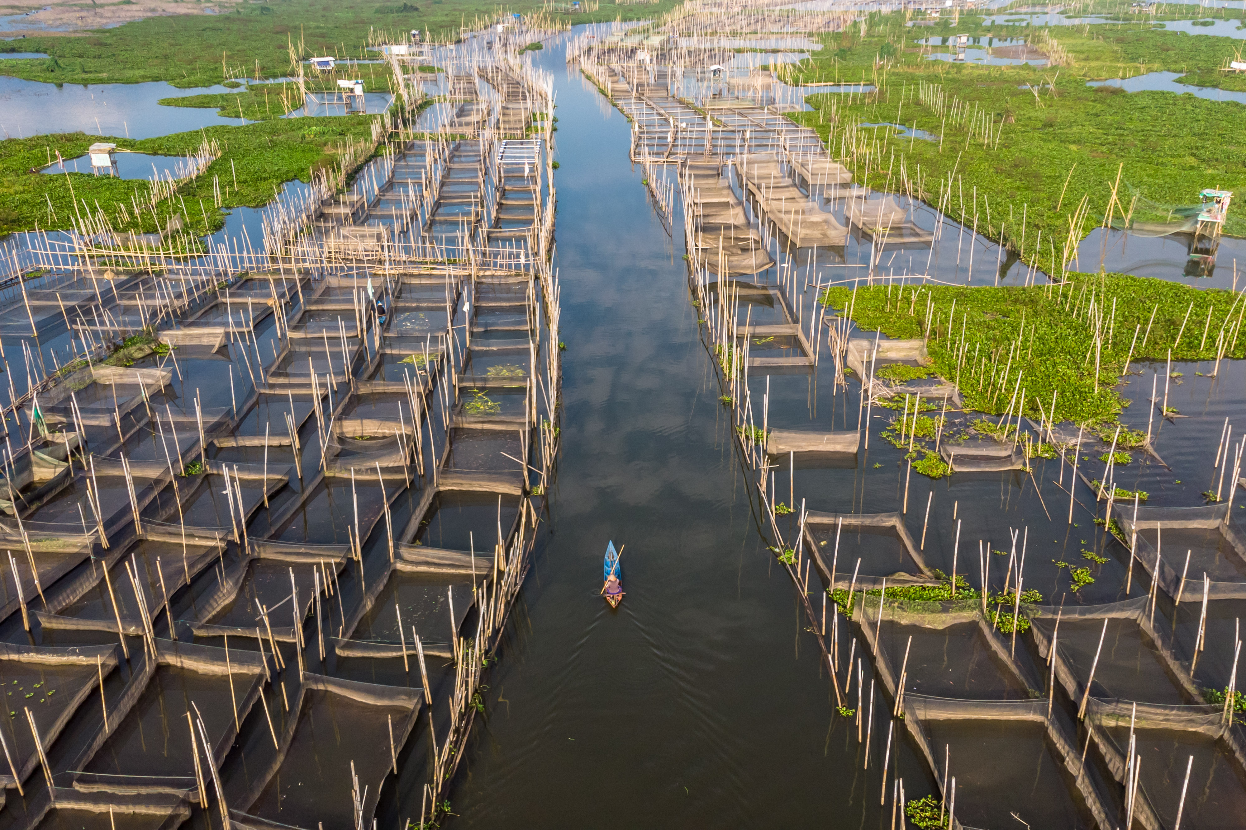 Nelayan beraktivitas di sekitar karamba budi daya ikan air tawar di Danau Rawa Pening, Desa Asinan, Bawen, Kabupaten Semarang, Jawa Tengah, 