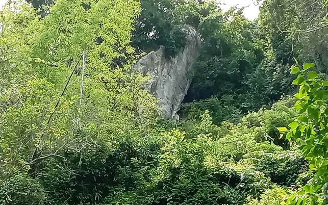 Longsor Bukit Putih pada Selasa (7/1/2020). Luncuran bebatuan besar itu tertahan di pepohonan.