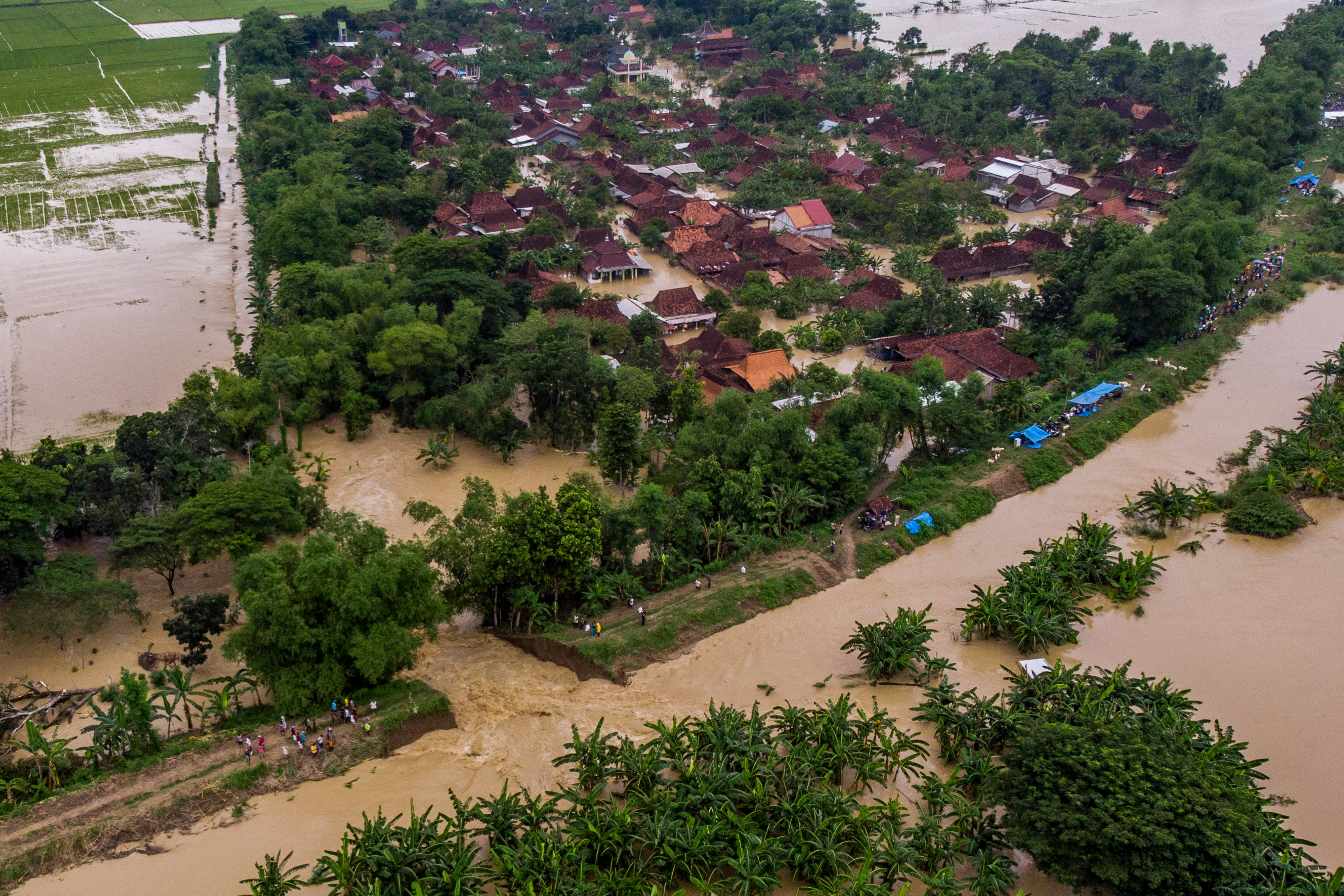 Banjir Grobogan dan Demak, Ribuan Warga Bertahan di Pengungsian