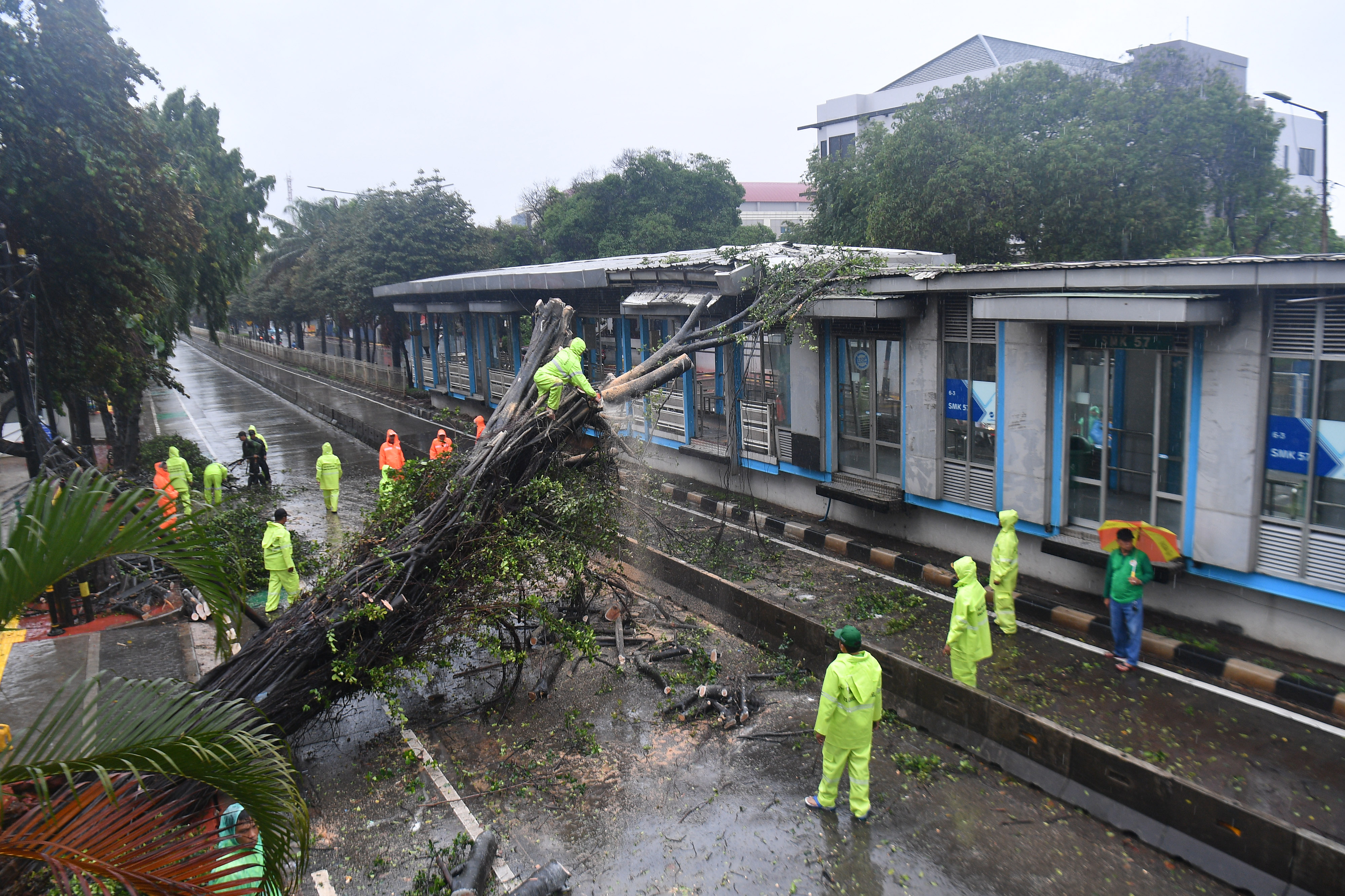 Halte Trans Jakarta tertimpa pohon pada tahun baru 2020