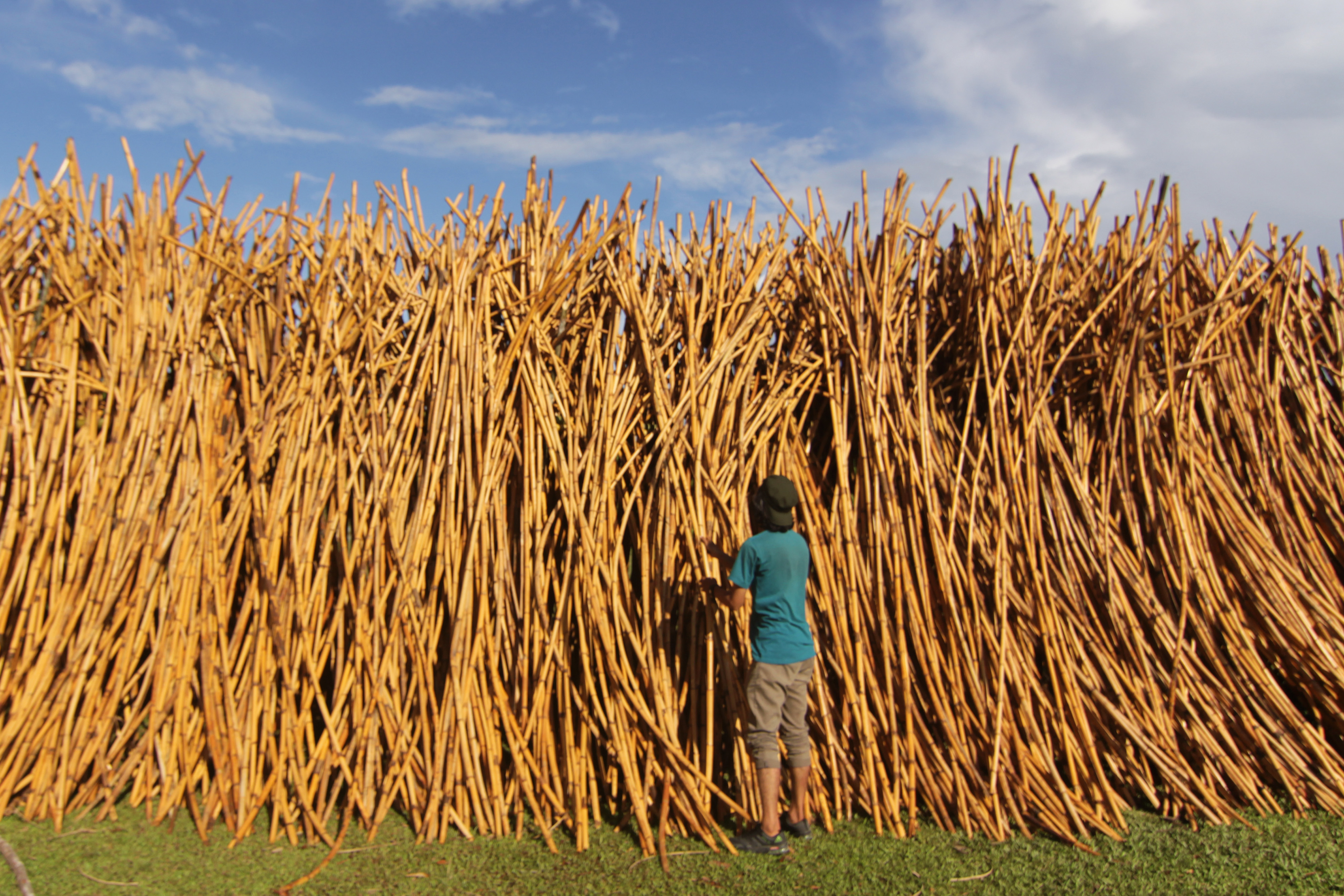 Pekerja mengeringkan rotan di lokasi penampungan, di desa Simeulue Timur, Pulau Simeulue, pulau terluar Kabupaten Simeulue, Aceh.