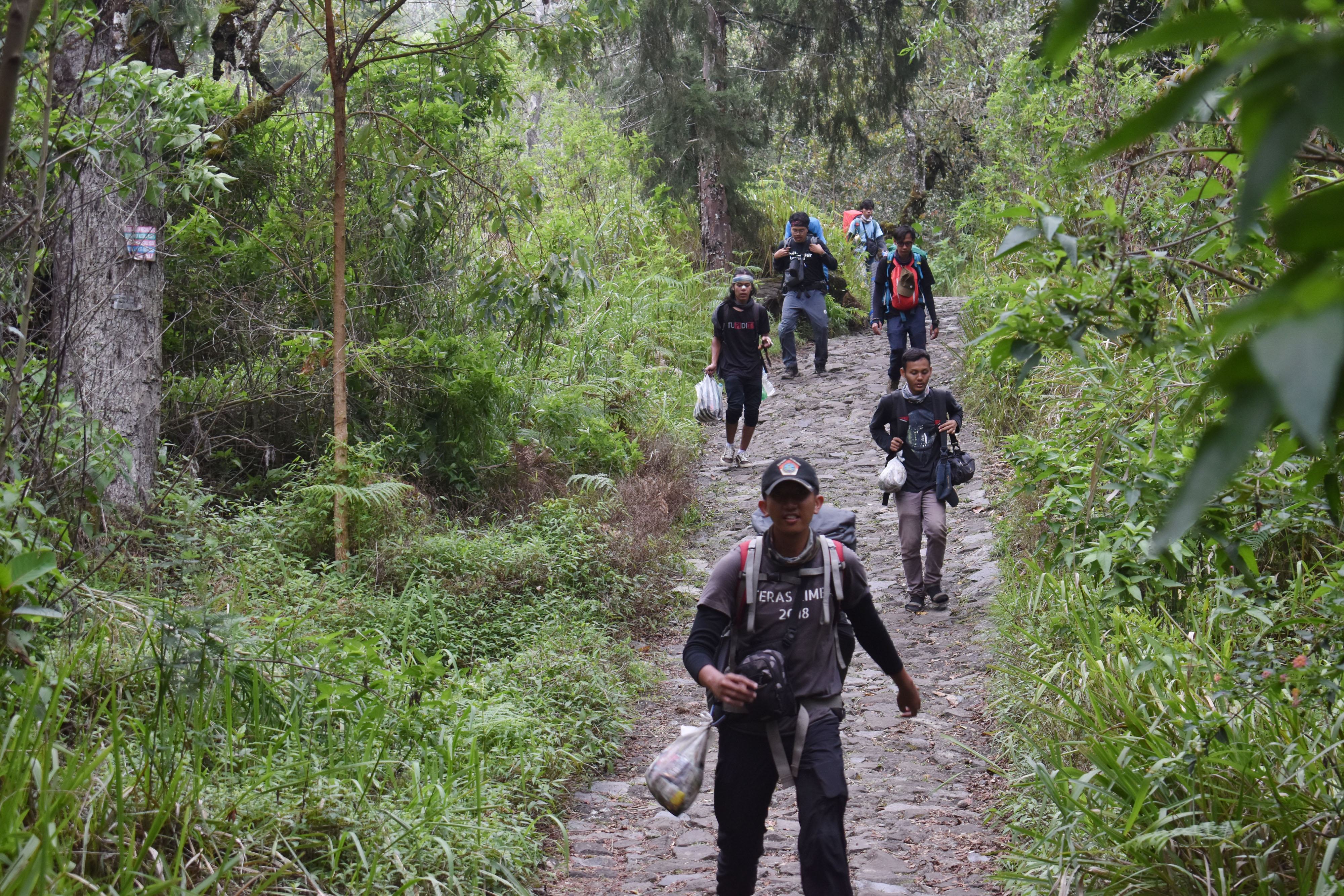 jalur pendakian Gunung Lawu dari pintu pos pemberangkatan Cemoro Sewu di Kecamatan Plaosan, Kabupaten Magetan, Jatim dibuka kembali.
