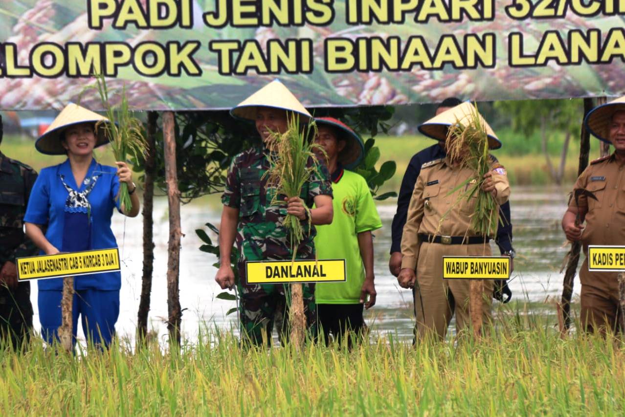 Ikut Panen Raya, Unsur TNI Dorong Produktivitas Petani Desa Upang