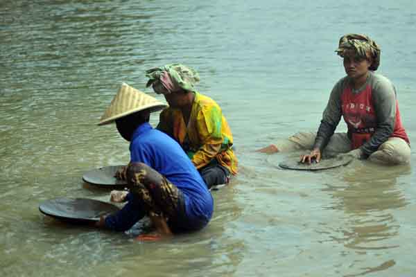 Sejumlah ibu menambang emas secara tradisional dengan mendulang, di aliran Sungai Batang Kuantan, Nagari Silokek, Kab.Sijunjung, Sumbar.