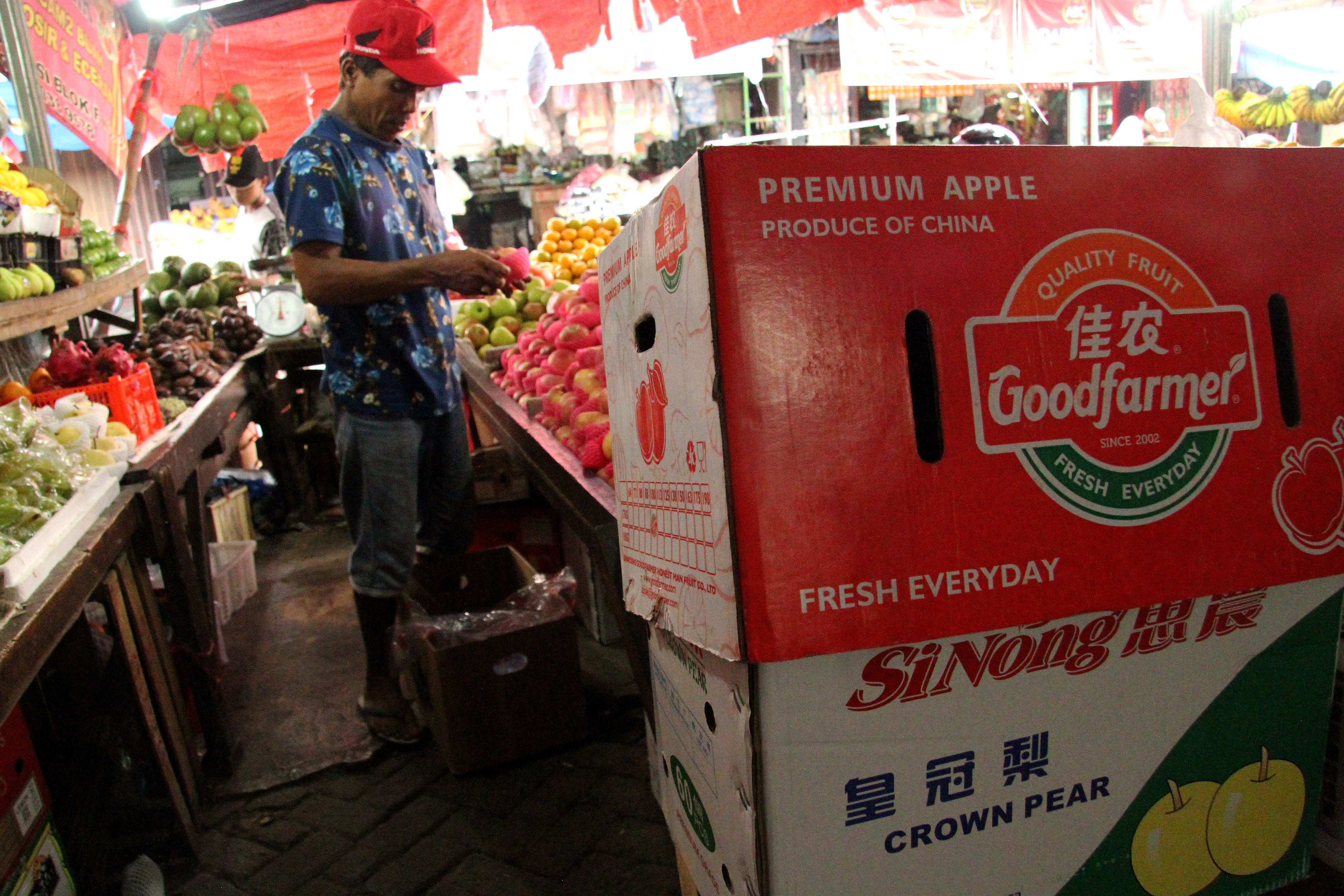 Pekerja memilah buah impor di Pasar Baru, Bekasi, Jawa Barat, Selasa (4/2/2020). Pemerintah hanya melarang impor hewan hidup dari Tiongkok.