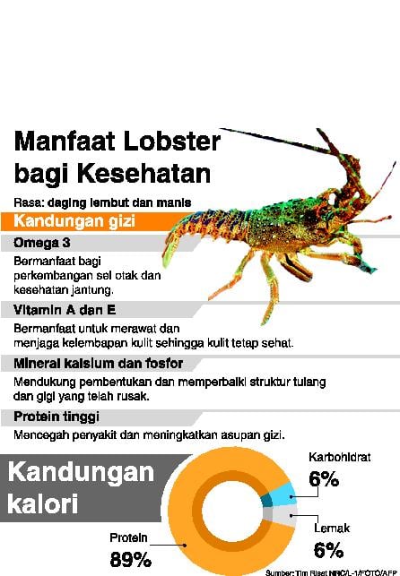 Manfaat lobster bagi kesehatan 