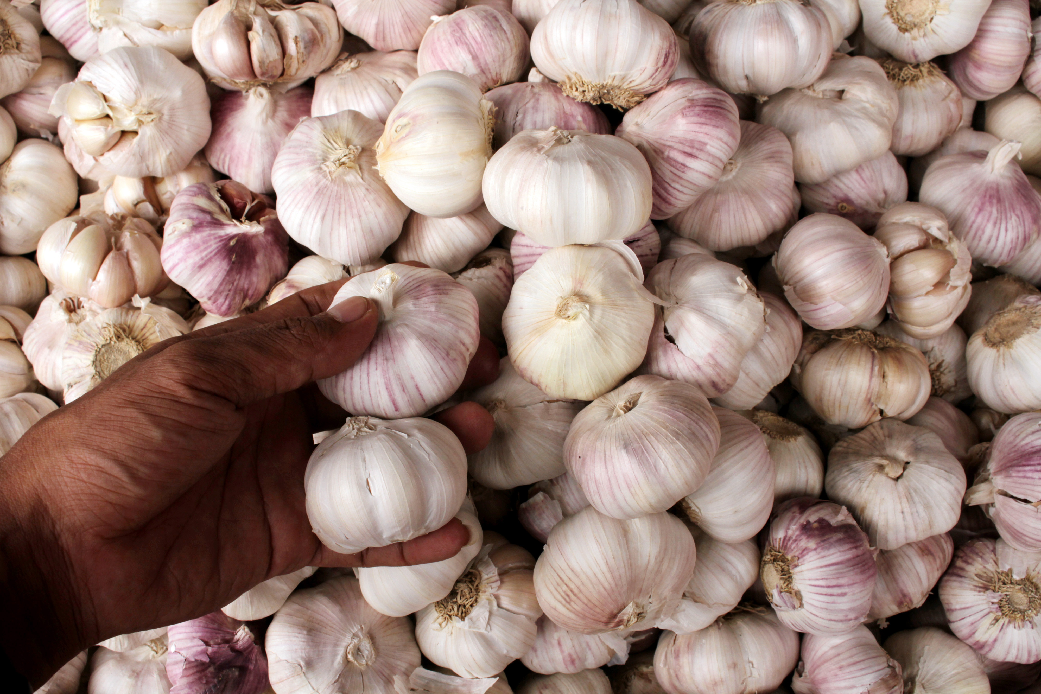 Harga bawang impor melonjak karena virus korona