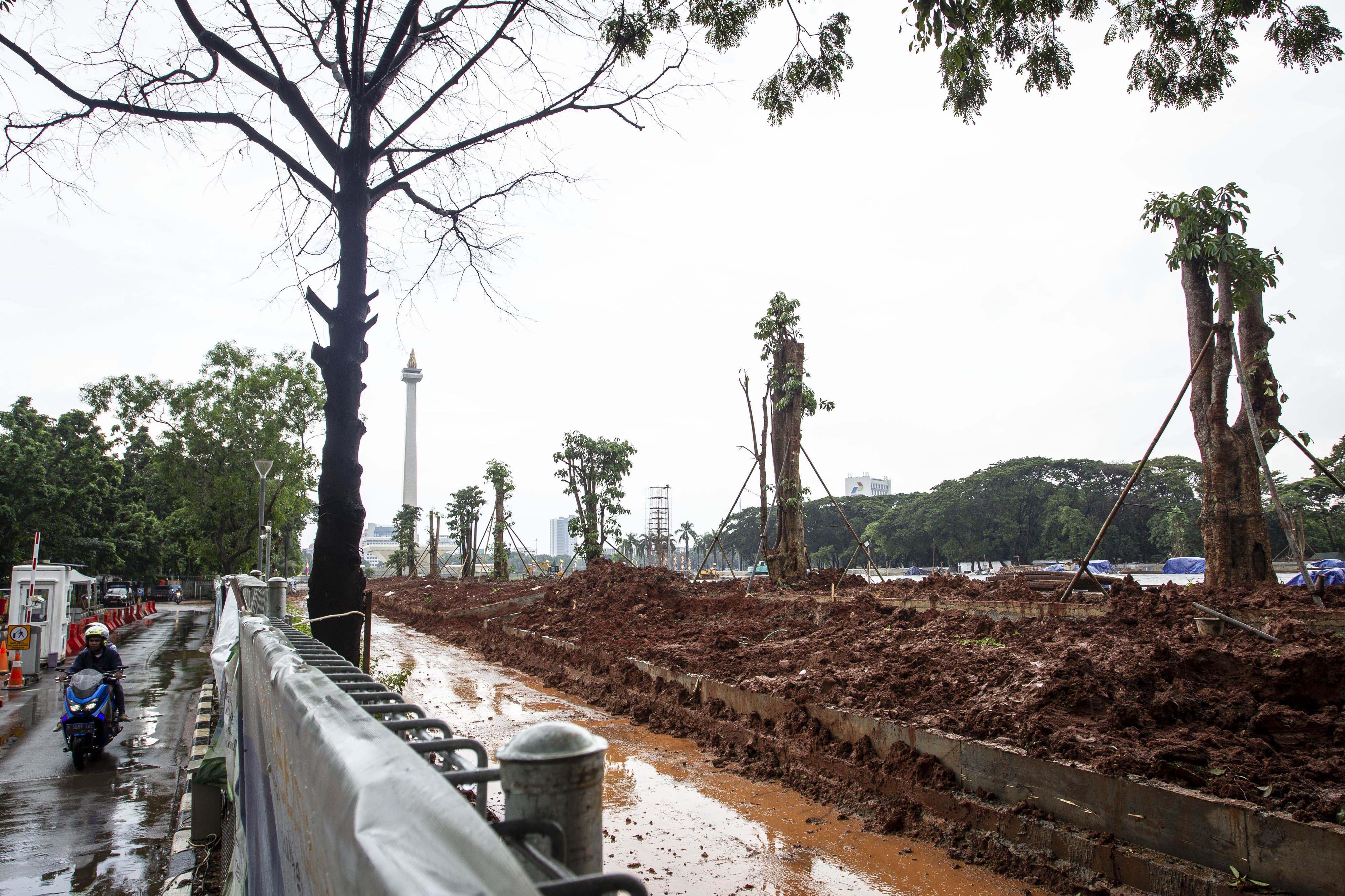  Suasana penanaman pohon di lokasi revitalisasi Plaza Selatan Monumen Nasional (Monas), Jakarta, Selasa (4/2/2020).