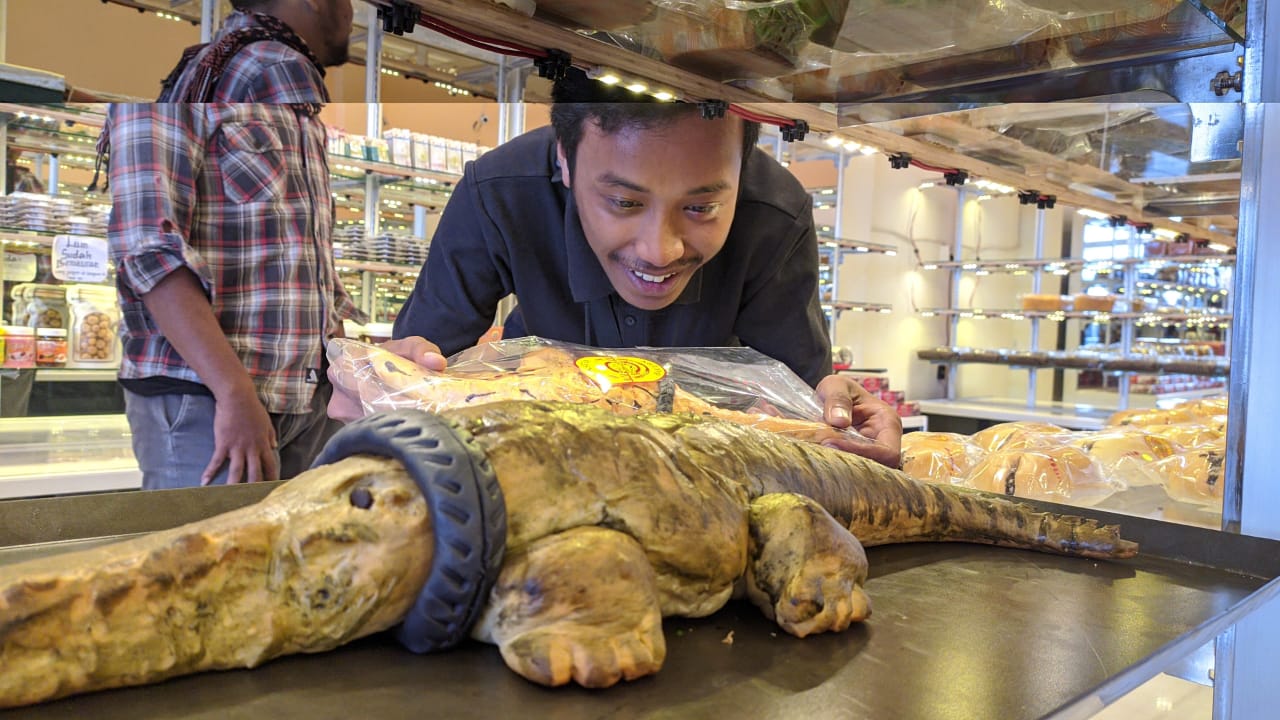 Buaya berkalung ban muncul di toko roti