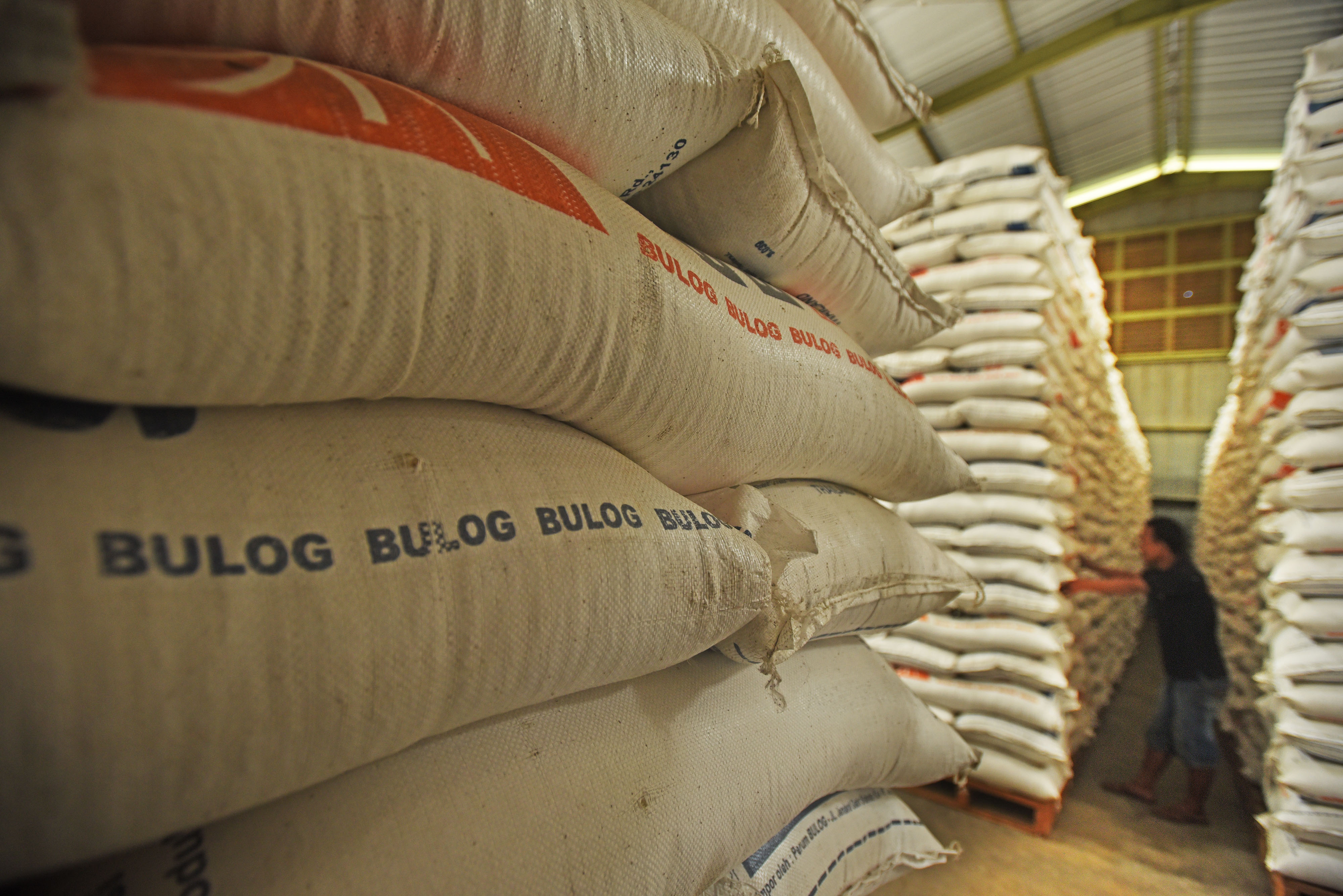 Pekerja memeriksa stok beras di gudang Bulog, Serang.