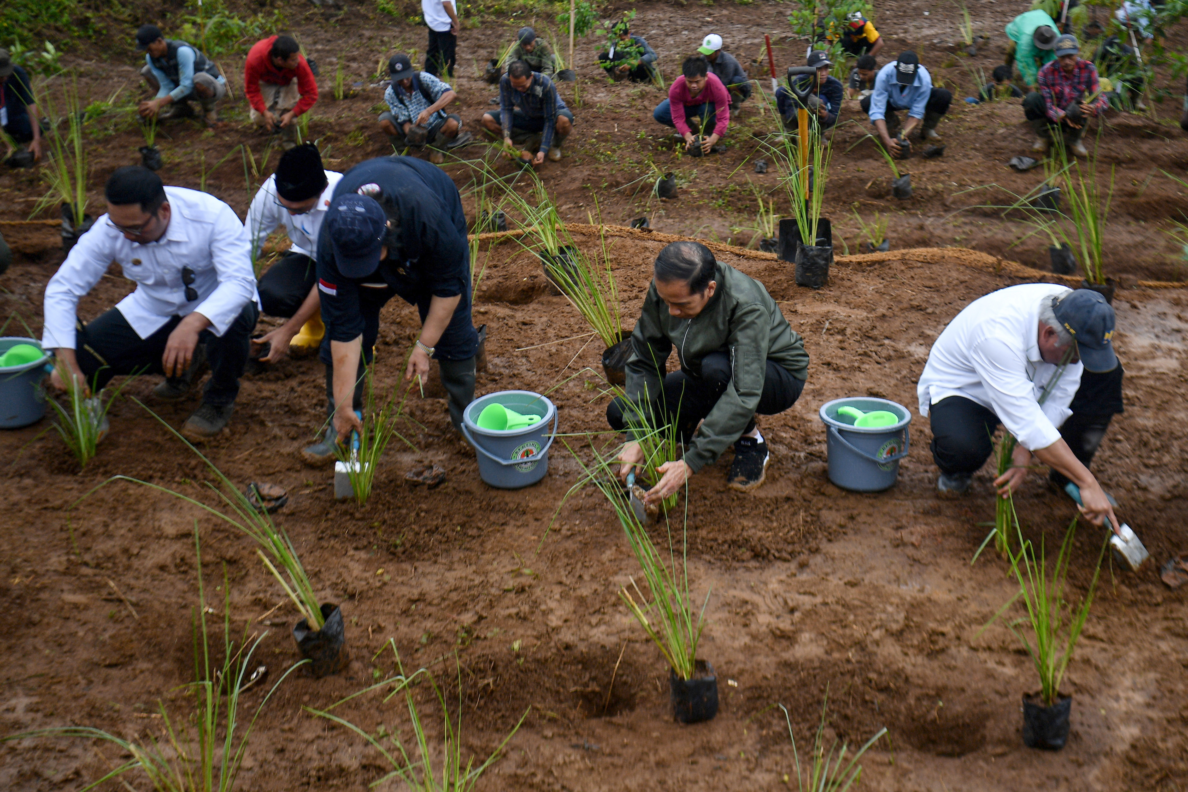Presiden Joko Widodo beserta menteri Kabinet Indonesia Maju menanam pohon di lokasi bencana longsor, Kabupaten Bogor.